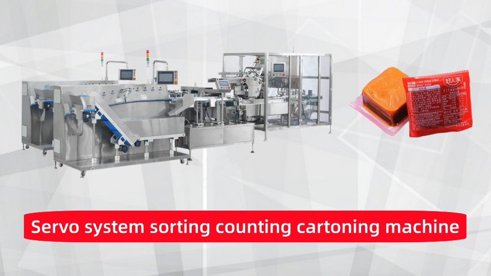 sachet & pouch sorter counter case packer