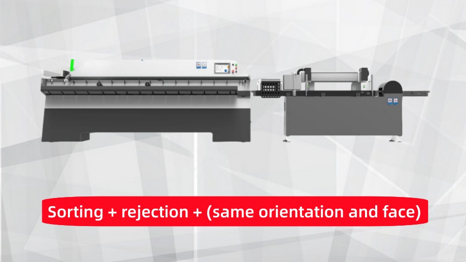 Pouches/bags servo system sorting machine