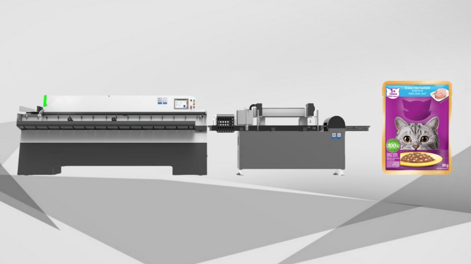 Pouches/bags servo system sorting machine
