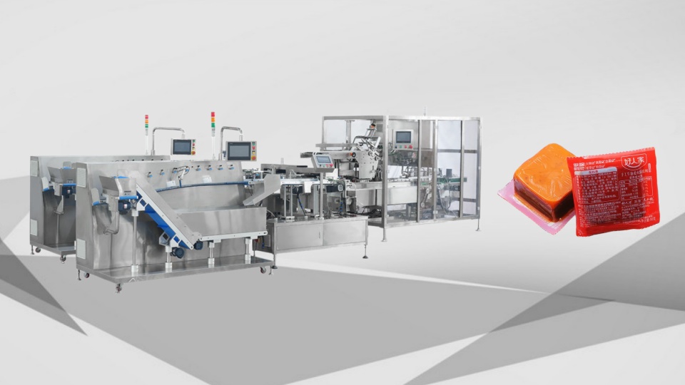 sachet & pouch sorter counter case packer