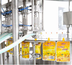rotary pouch filling capping machine