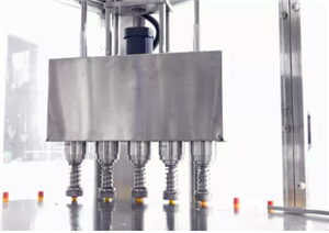 rotary pouch filling capping machine