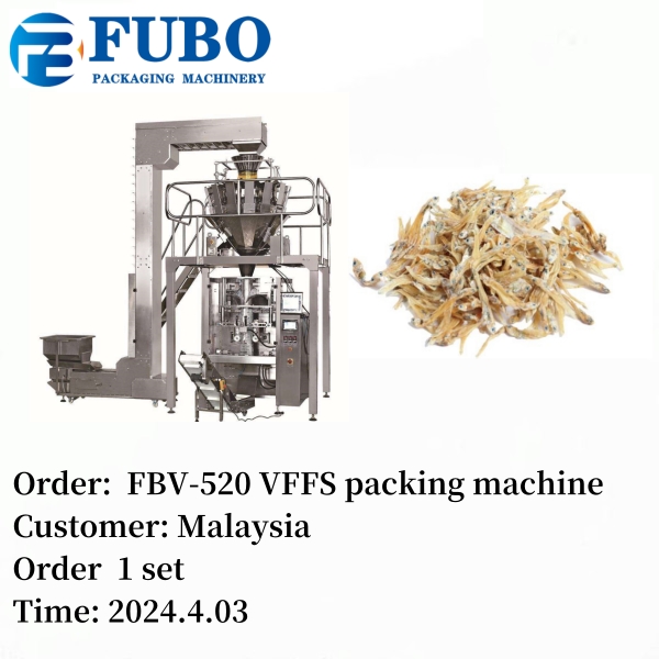 FBV-520 Dried fish pouch form fill seal machine | vffs bagging machinery